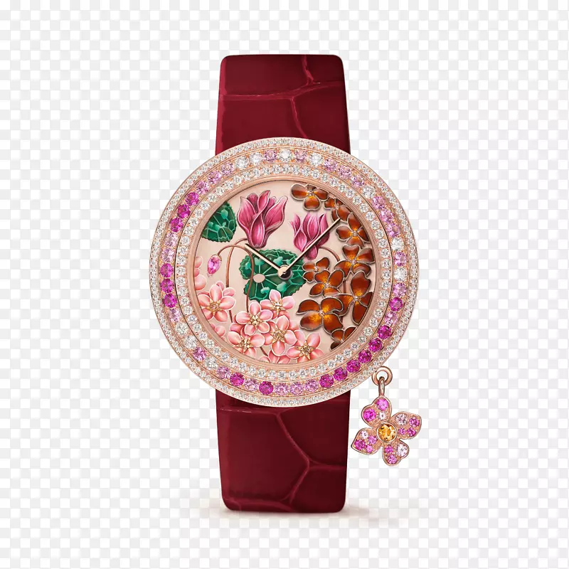 汉密尔顿手表公司van Cleef&Arpels omega a钟表