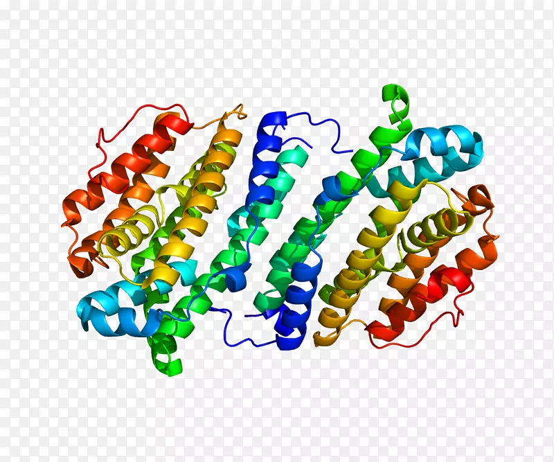 rrm2b核糖核酸还原酶核糖核苷基因