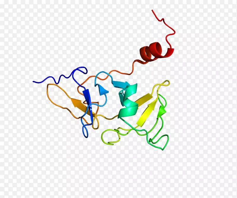 lgp 2类受体解旋酶基因