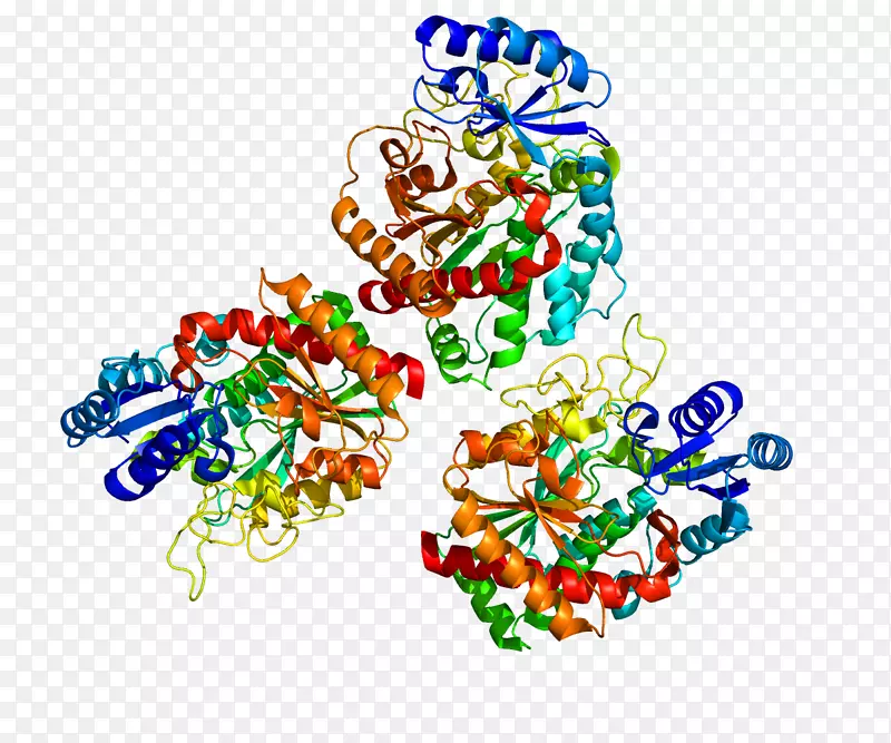 羧肽酶b2纤溶凝血酶