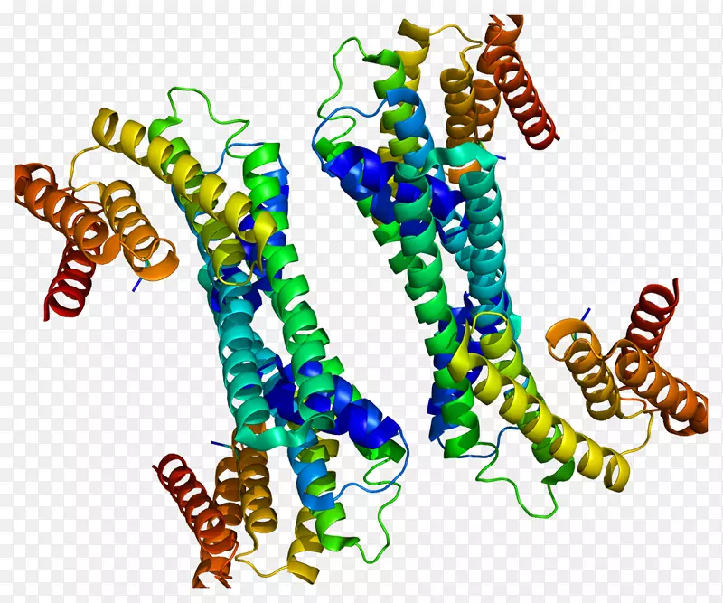 ywhah 14-3-3蛋白磷酸丝氨酸基因