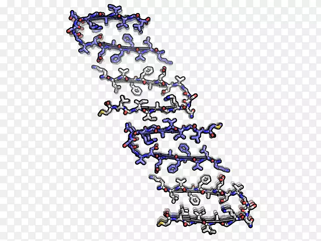 纤维淀粉样β-2微球蛋白分子模型