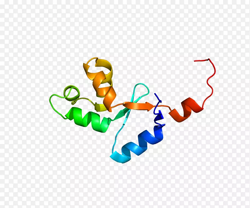 OCA 2 hect结构域和rld 2基因蛋白突变