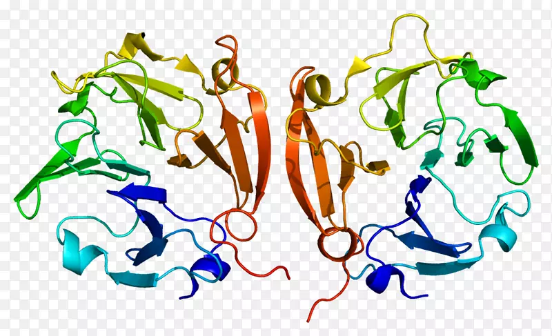 MMP 9基质金属蛋白酶胞外基质酶-酶