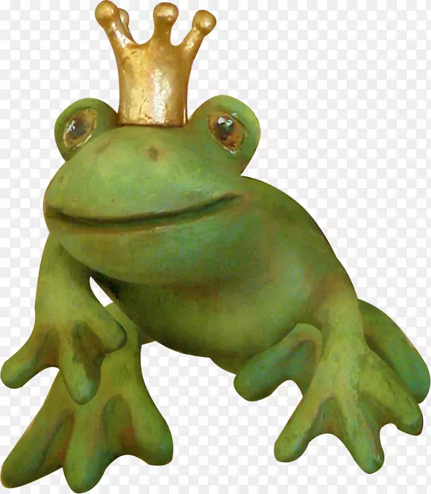真青蛙食用青蛙树蛙-青蛙