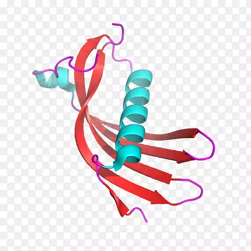 遗传性cystatin c淀粉样血管病变蛋白病
