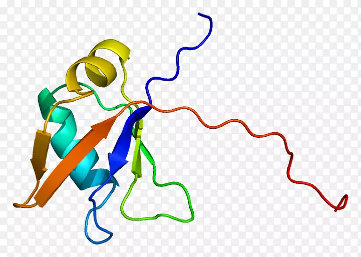 tardbp蛋白折叠rna结合蛋白基因