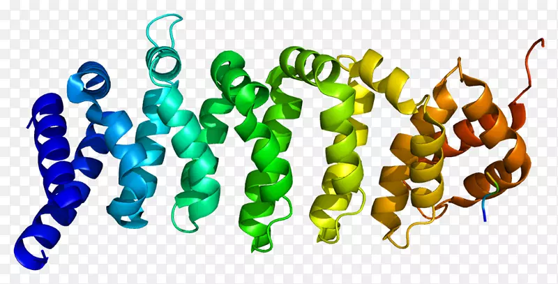 钙结合蛋白基因苏氨酸