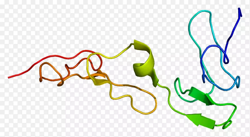 蛋白s缺乏髓鞘蛋白零
