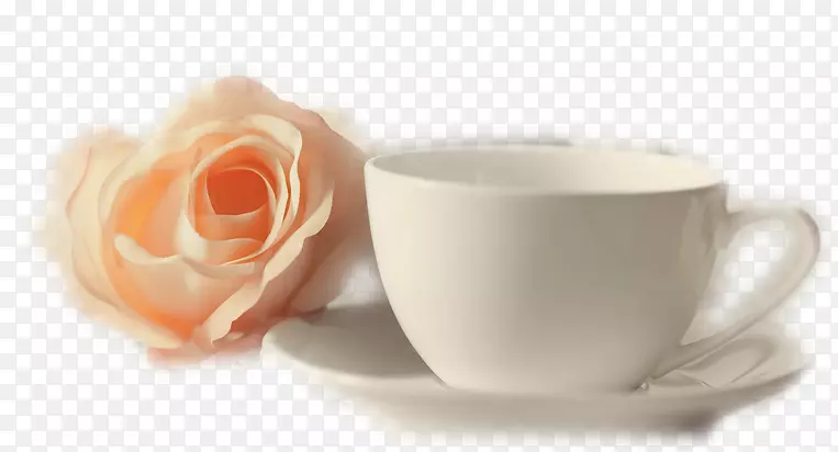 茶杯花园玫瑰花碟茶