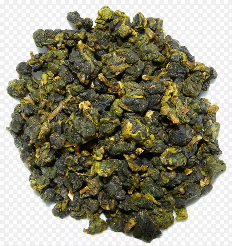 乌龙茶植物GABA茶