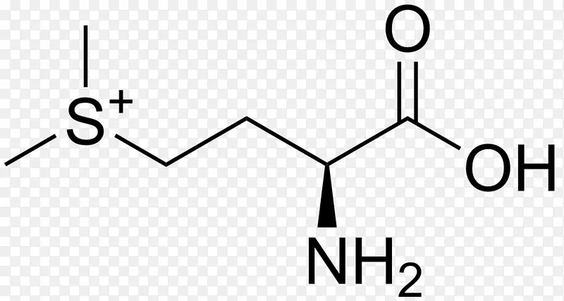 组氨酸、精氨酸、苯丙氨酸
