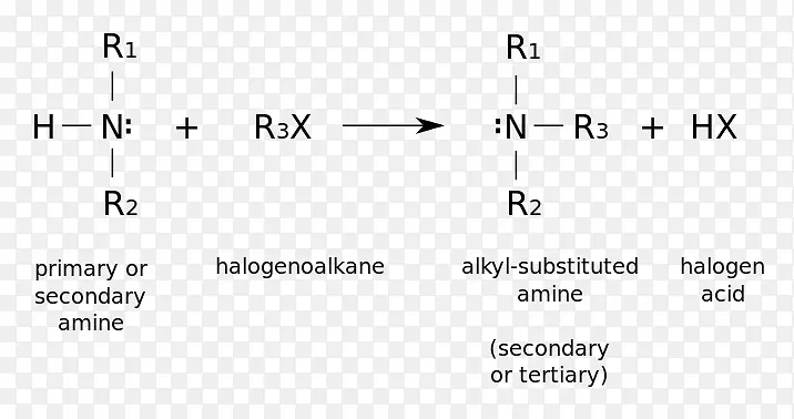 胺烷基化反应有机化合物原子