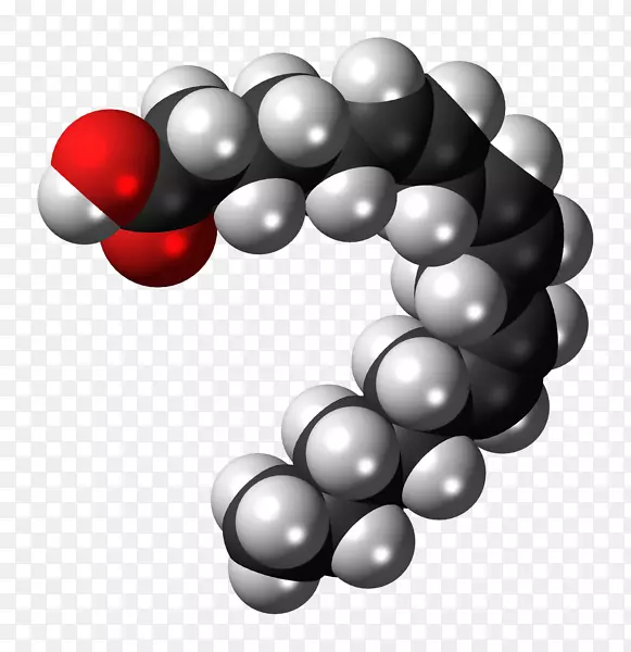γ-亚麻酸α-亚麻酸亚油酸脂肪酸