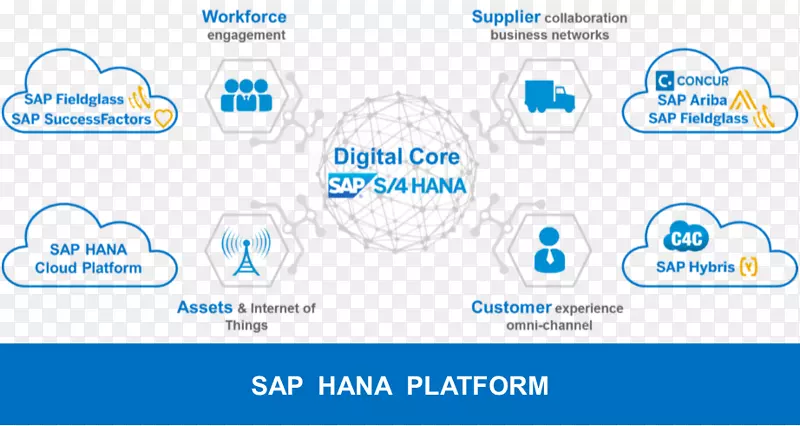 SAP s/4 HANA sap Hana FieldGlass sap se营销-营销