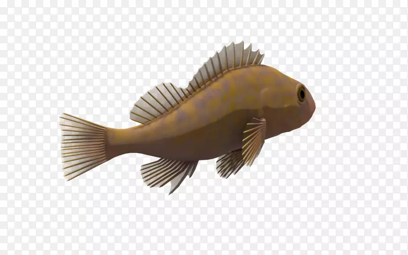 鱼类动物绘画剪贴画