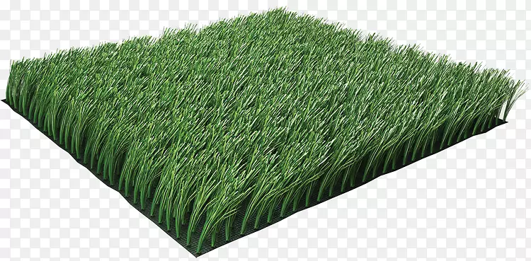 人工草坪景观建筑花园多草坪草