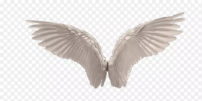 电脑图标剪辑艺术天使羽毛