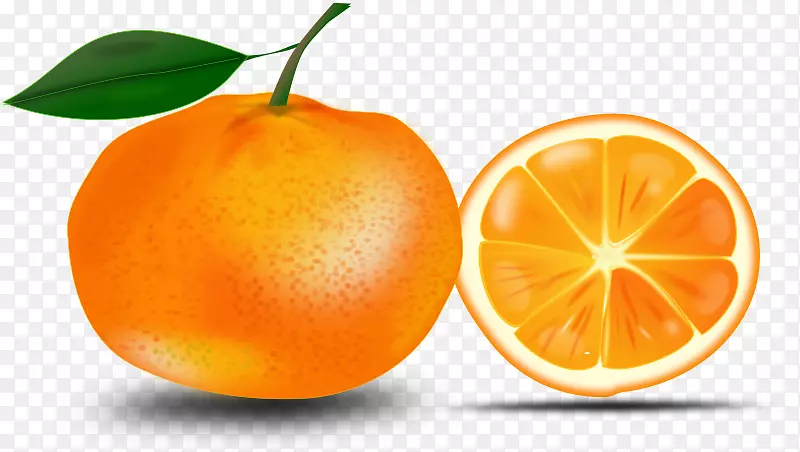 橙色剪贴画.橘子