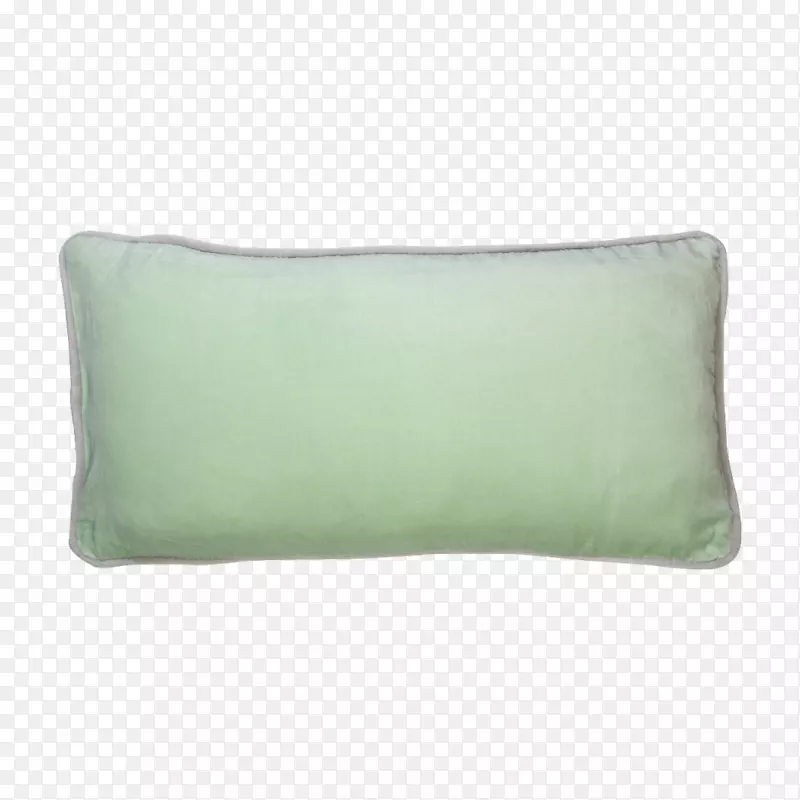 投掷枕头垫长方形绿松石-鼠尾草