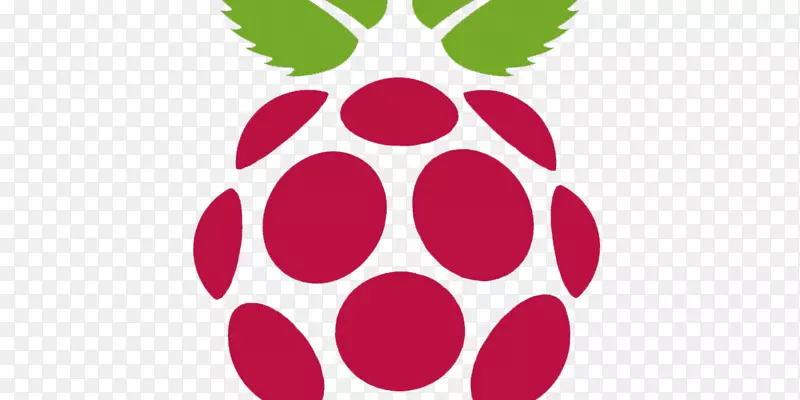 覆盆子pi 3开媒体电脑图标-rasberry