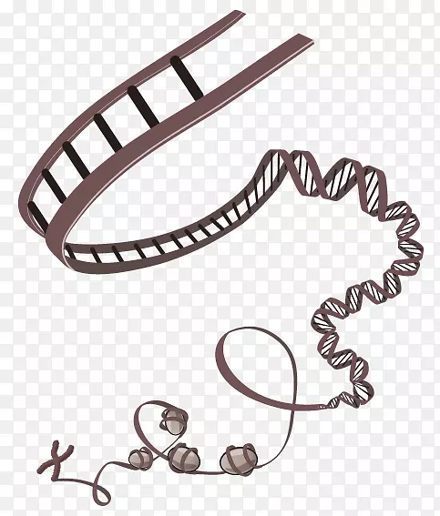 表观遗传学表观基因组学-DNA核心