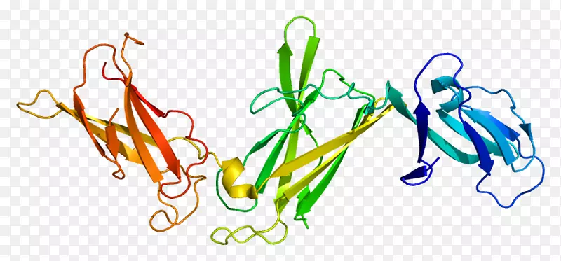 白细胞介素12受体，β1亚单位白介素-12亚基β白介素23亚基α