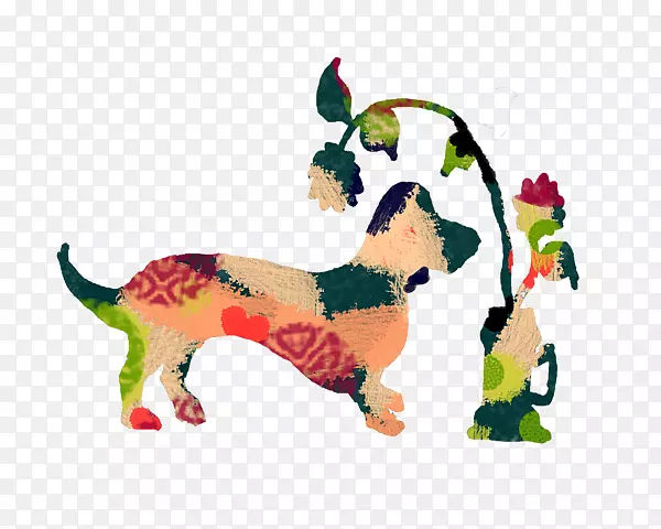 猫狗犬科-达克斯犬