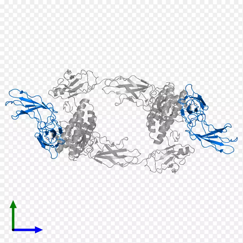 车身珠宝线字体线