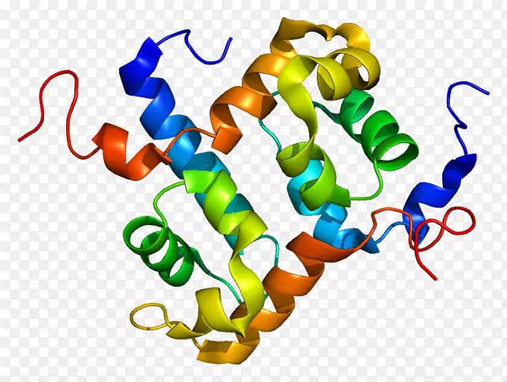 ERCC 4-ERCC 1核苷酸切除修复蛋白内切酶