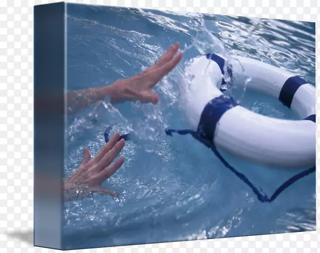 水上休闲海豚度假个人防护设备.救生圈
