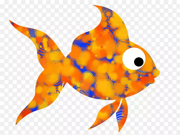 金鱼海洋生物珊瑚礁鱼类动物-金鱼