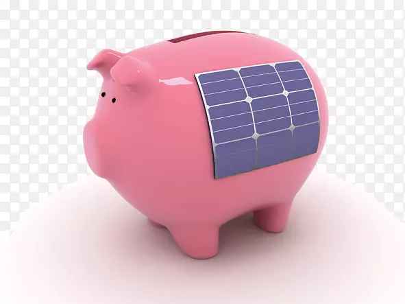 澳大利亚太阳能电池板太阳能猪