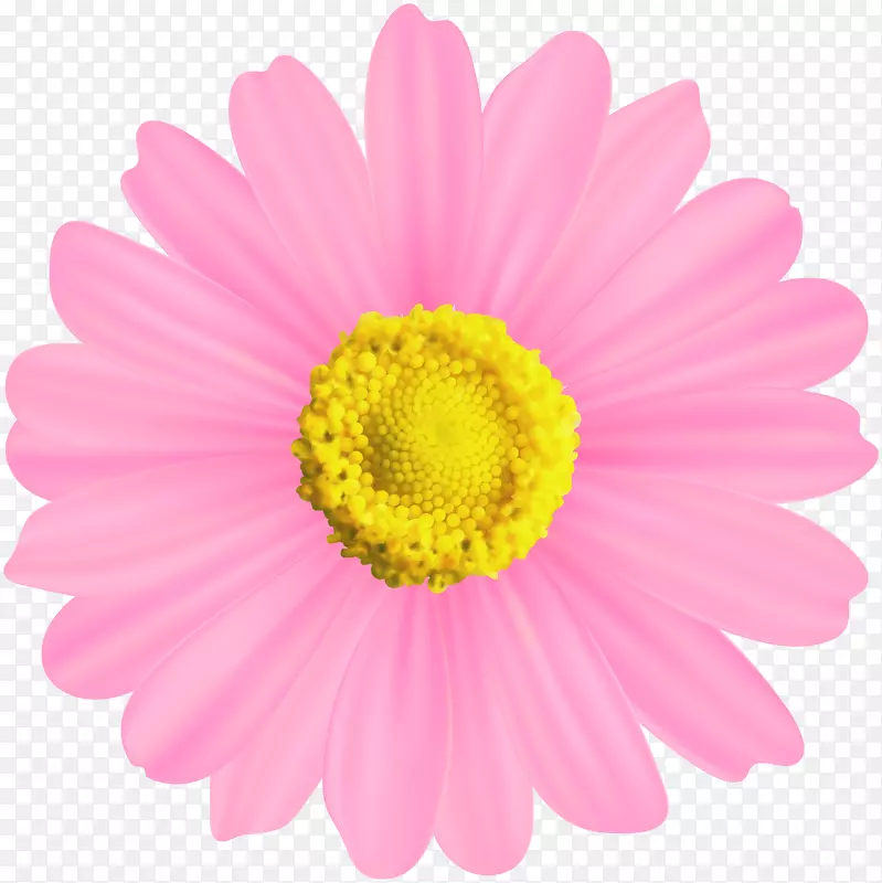 电脑图标符号剪贴画-粉红色和金色的花