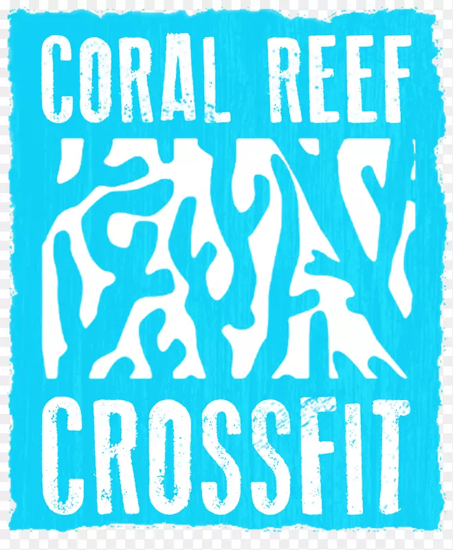 站起来基础珊瑚礁横渡野生海豚项目横渡棕榈海滩展览设计师-珊瑚礁