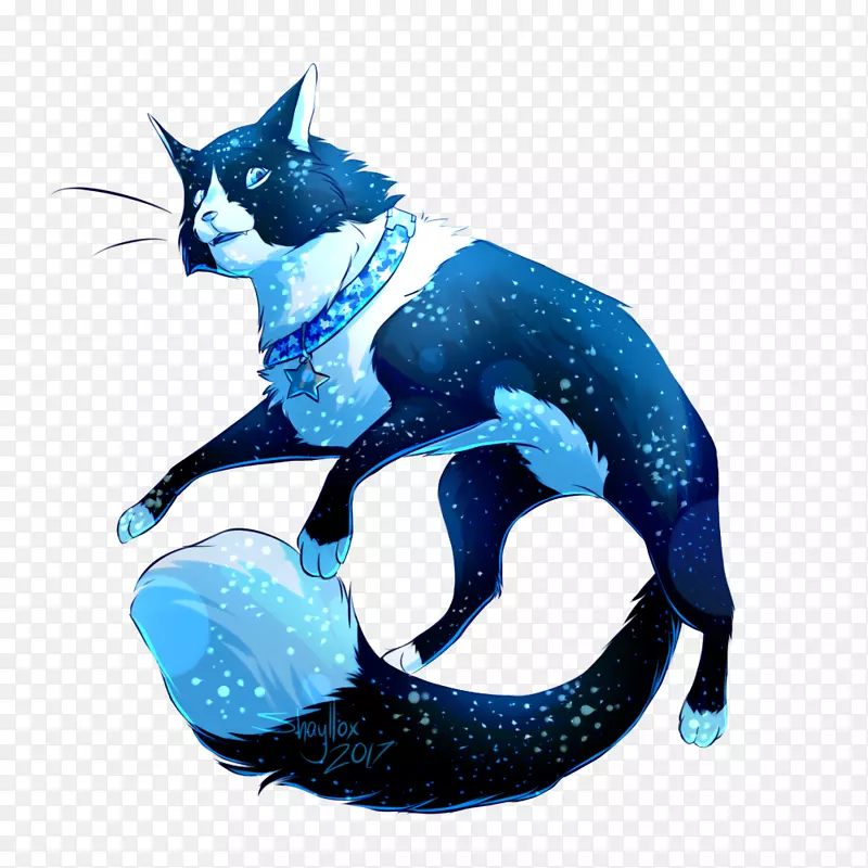 猫钴蓝尾星天空