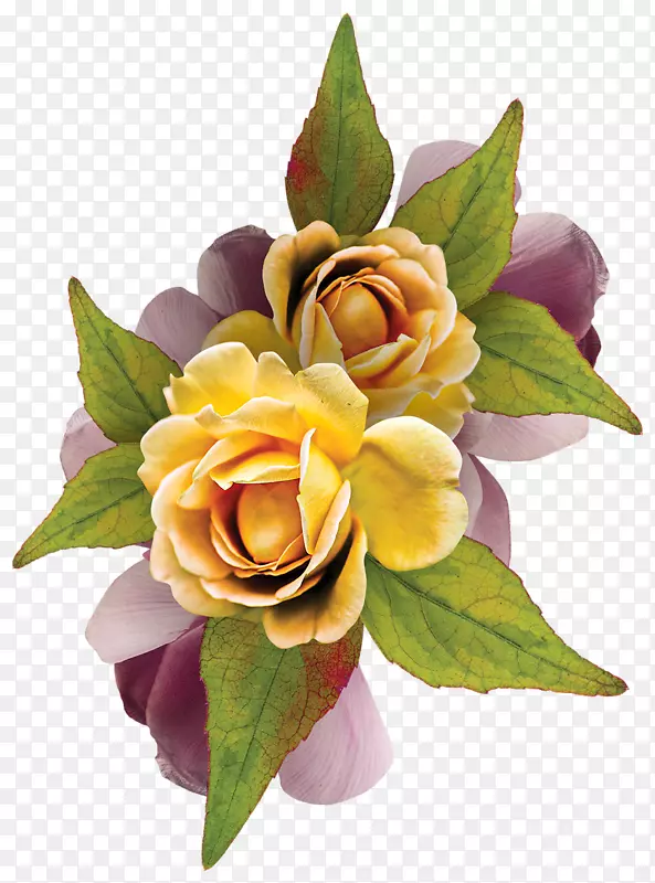 花园玫瑰花卉设计生日剪贴画-花卉背景