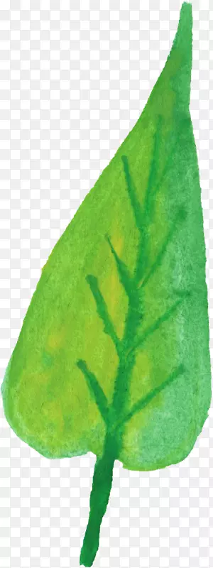 叶植物茎-水彩画叶