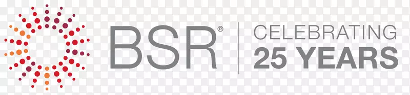 BSR公司社会责任可持续发展业务-成立25周年