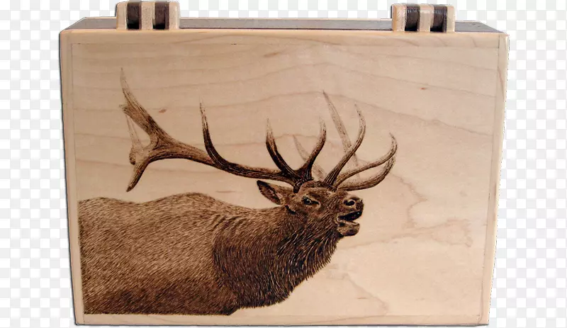 鹿、麋鹿、火烧画、木材艺术-鹿