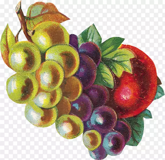 蔓越莓食物水果素食料理-水果