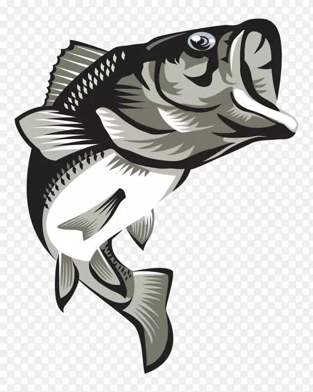 大口鲈鱼计算机图标-大嘴鲈鱼