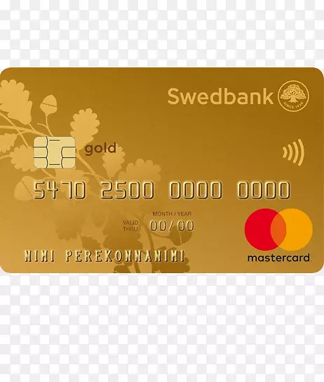 瑞典银行信用卡支付卡银行卡信用卡