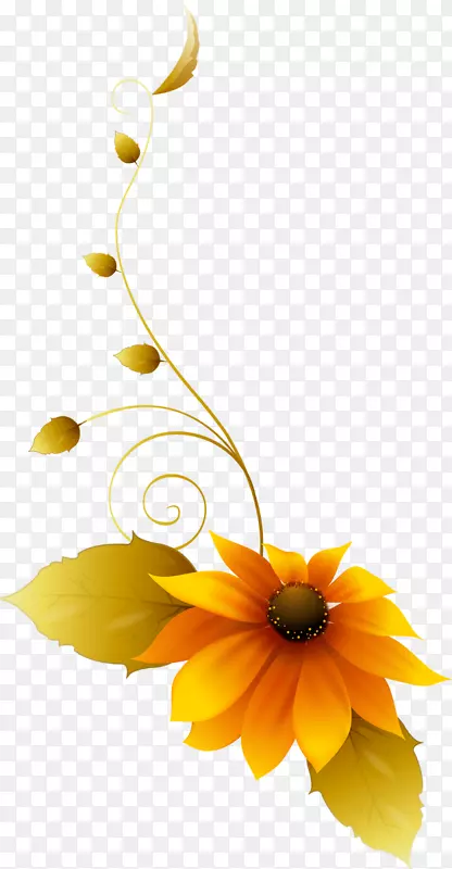 普通向日葵花卉设计静物摄影剪花设计