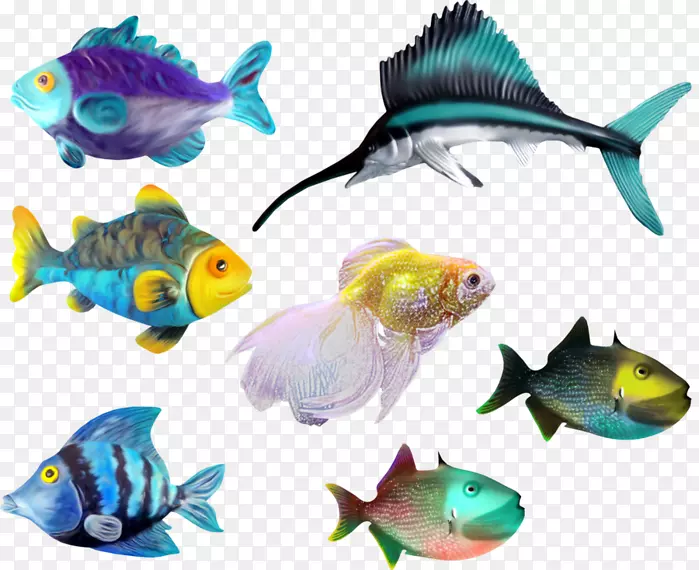 海洋鱼类海洋生物剪辑艺术-珊瑚礁