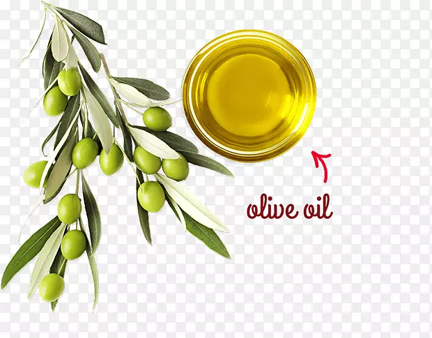 大豆油，橄榄油，替代保健服务，医药-食用油