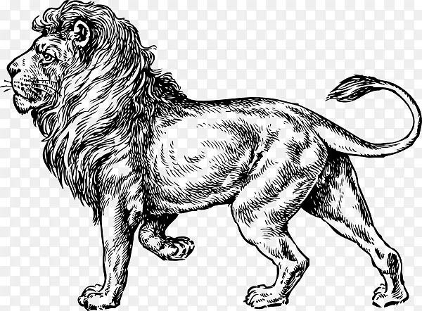 狮子头兔纹身艺术家剪贴画-犹大狮子