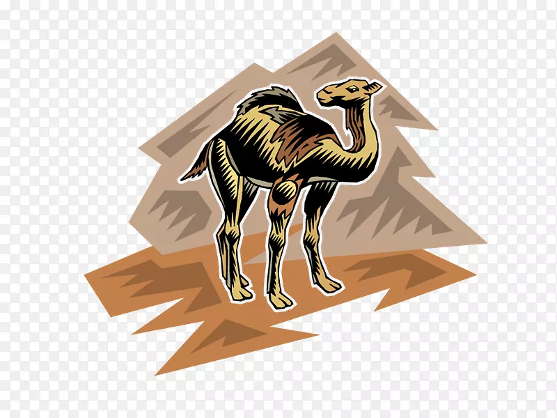 骆驼光景-骆驼