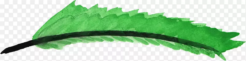 绿色羽毛-父亲-水彩
