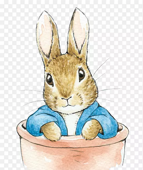 家养兔彼得兔子复活节兔子彼得的故事
